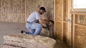 Best Eco-Friendly or Green Insulation Solutions  in Westlake Vlage, IL