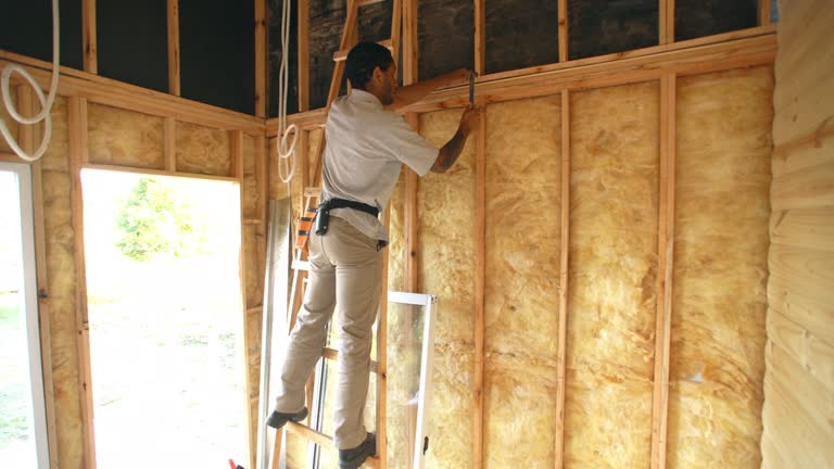 Best Commercial Insulation Services  in Westlake Vlage, IL