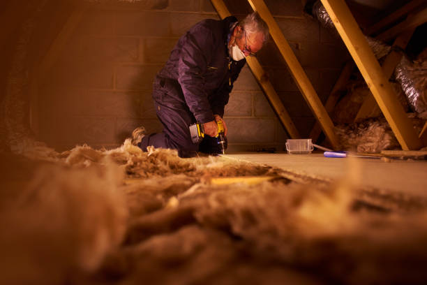 Best Commercial Insulation Services  in Westlake Vlage, IL